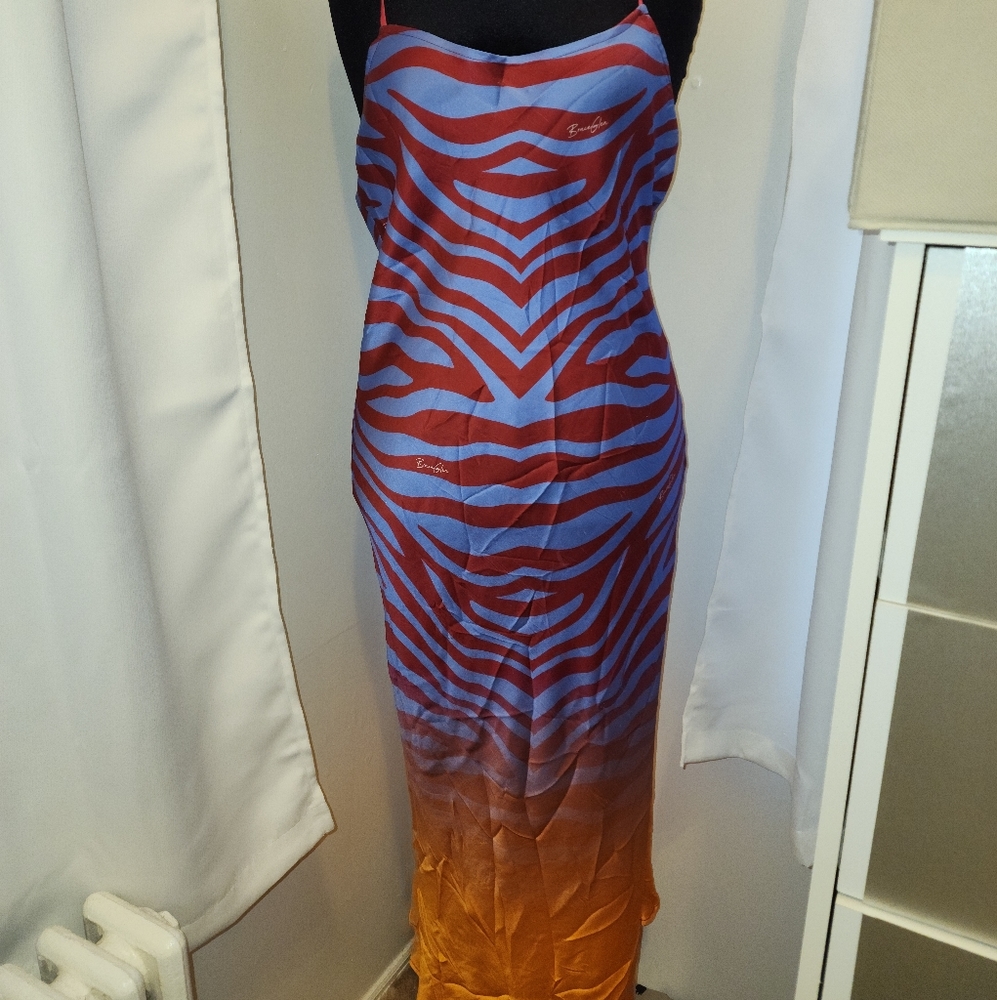 Bruce Glen Ombre zebra dress